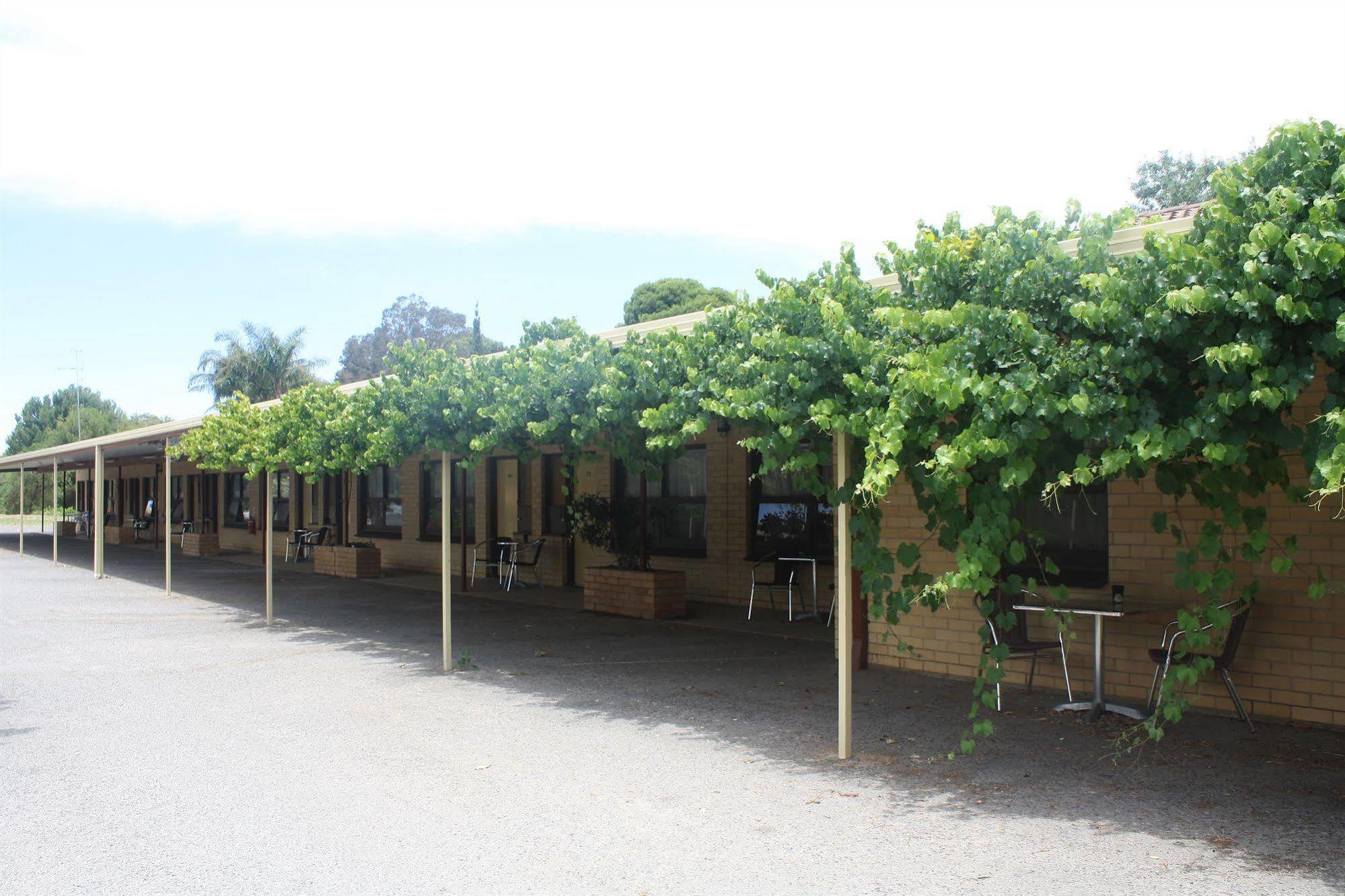 Angaston Vineyards Motel Exterior photo