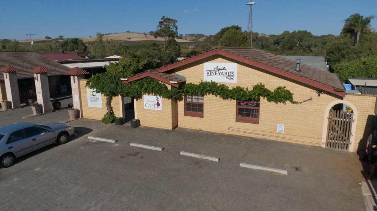 Angaston Vineyards Motel Exterior photo
