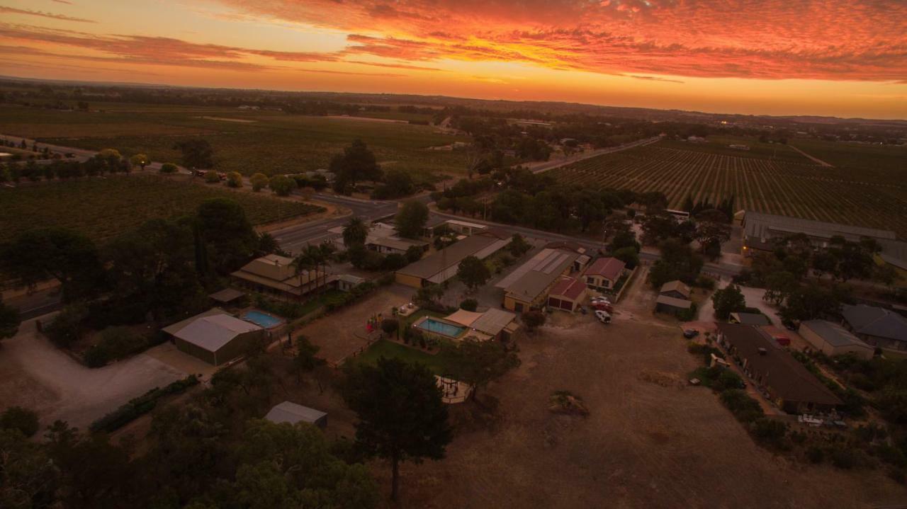 Angaston Vineyards Motel Exterior photo